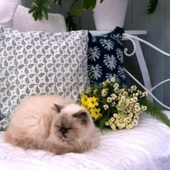 Kayri Cushion Cover -AU Camping Equipment Sales 22IzSUotRuiBM3OWh4TM UnXI