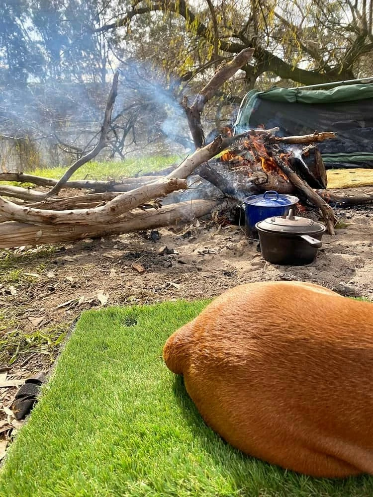 Muk Mat - Standard Size 13 Muk Mat - Standard Size - Image 11