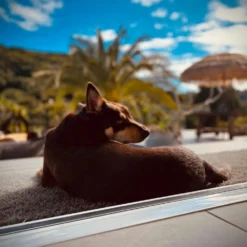 Turf Doormat - Xl Rectangle -AU Camping Equipment Sales 7ZKpz 9jcQbR4S24ktXpykcpw