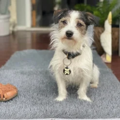 Turf Doormat - Rectangle -AU Camping Equipment Sales AbpzX9P5GLm8lB7TfWK54xG8k