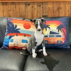 That's Living Cushion Cover -AU Camping Equipment Sales BDFdVwbBk Rlr56WVFE3eUH2M