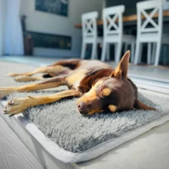 Turf Doormat - Xl Rectangle -AU Camping Equipment Sales Ez3VvtIjbkQ56BD0iX0llspmE