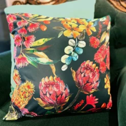 Australian Natives Cushion Cover -AU Camping Equipment Sales FILf6Y5aWBya zwGmld7Q0chE