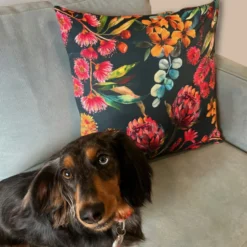 Australian Natives Cushion Cover -AU Camping Equipment Sales M Q8yA54DMKRlL5f 4GXKAGCQ