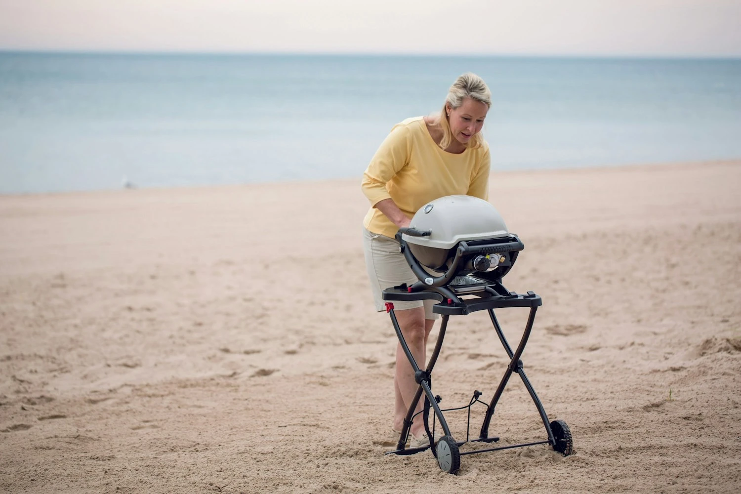 Weber Q Portable Cart For Q1000 Q2000 Series 8 Weber Q Portable Cart For Q1000 Q2000 Series - Image 6