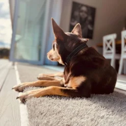 Turf Doormat - Xl Rectangle -AU Camping Equipment Sales SsFslEzvzxqRomHkzdwRAXbJo