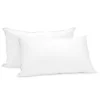 Duck Down Feather Pillow Twin Set - 1.3kg -AU Camping Equipment Sales e GtZzbdDg IlpMCjfDjXnIZc