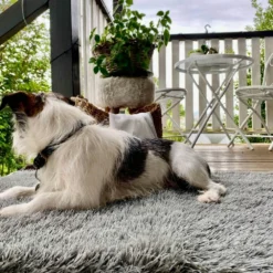 Turf Doormat - Rectangle -AU Camping Equipment Sales jmi w7Ymsr9miCvVYIC7jgMyU