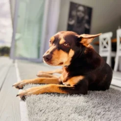 Turf Doormat - Xl Rectangle -AU Camping Equipment Sales jqlqxSa2wNDYM Y7zVdY8LrCw