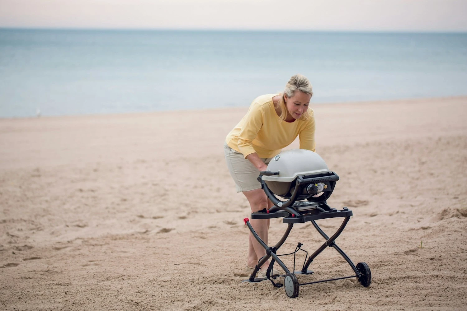 Weber Q Portable Cart For Q1000 Q2000 Series 9 Weber Q Portable Cart For Q1000 Q2000 Series - Image 7