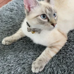 Turf Doormat - Rectangle -AU Camping Equipment Sales yuvvYA6f zEqHIeNYtgeHVh7U